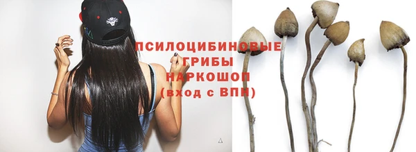 круглые Тавда